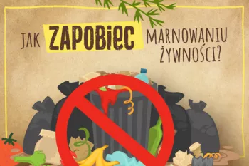 Jak zapobiegać marnowaniu żywności?