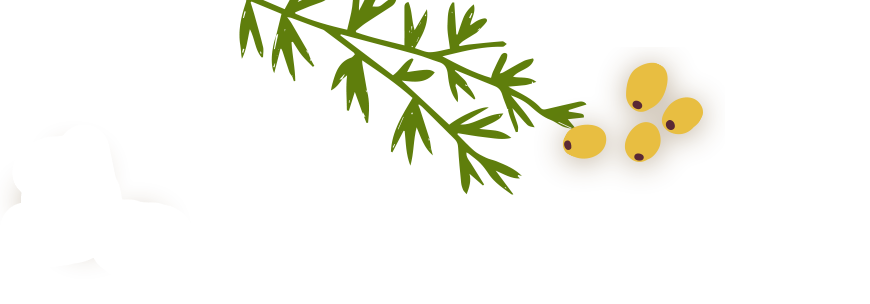 Decorative background photo